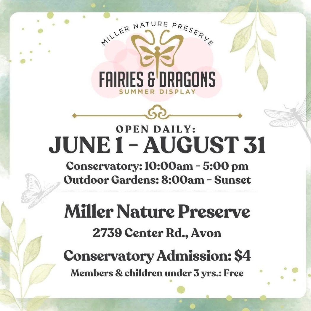 Fairies & Dragons Summer Display 1